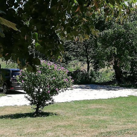 Chambre D'Hote Equestre Au Petit Bonheur Chateldon Bagian luar foto