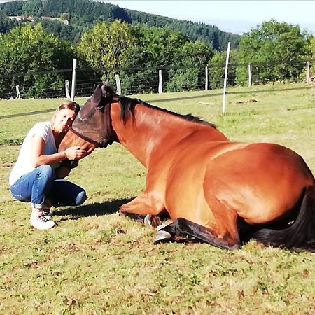 Chambre D'Hote Equestre Au Petit Bonheur Chateldon Bagian luar foto