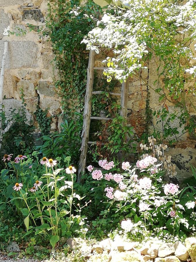 Chambre D'Hote Equestre Au Petit Bonheur Chateldon Bagian luar foto