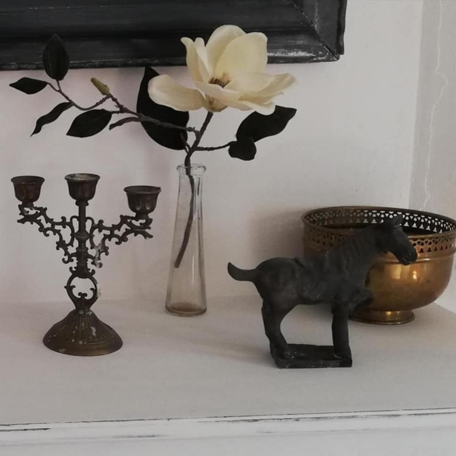 Chambre D'Hote Equestre Au Petit Bonheur Chateldon Bagian luar foto