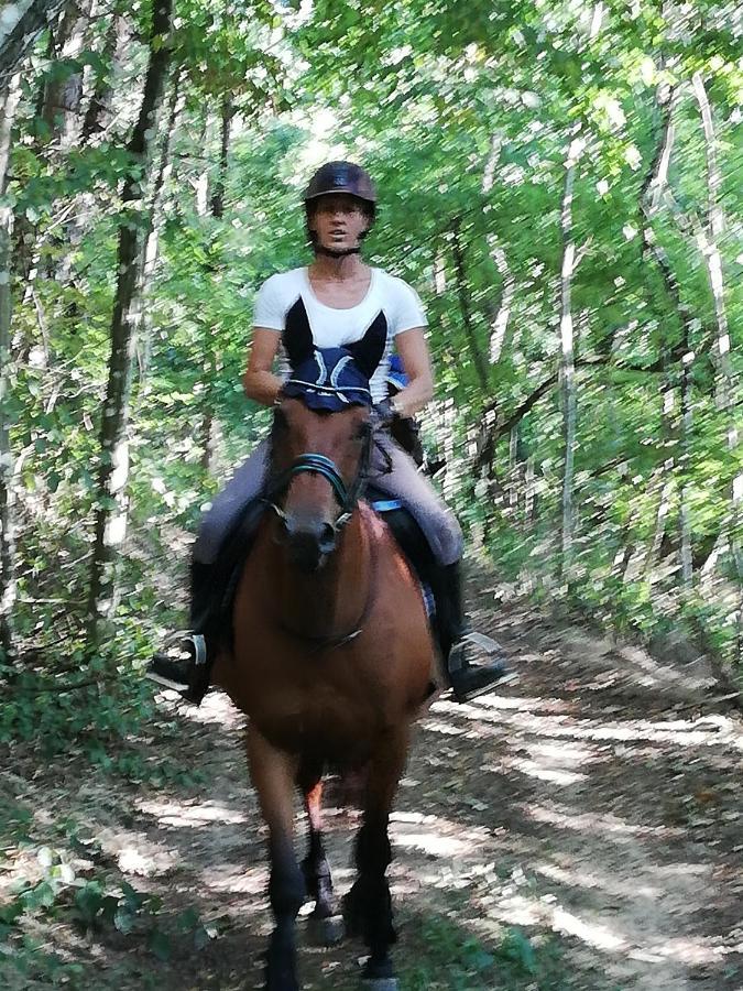 Chambre D'Hote Equestre Au Petit Bonheur Chateldon Bagian luar foto