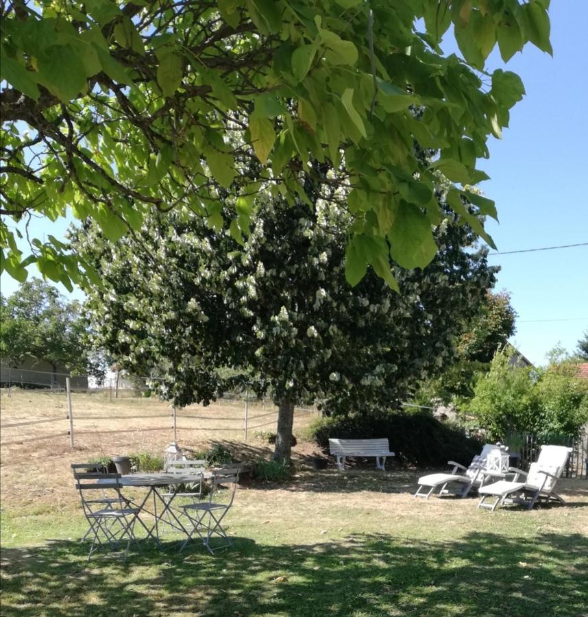 Chambre D'Hote Equestre Au Petit Bonheur Chateldon Bagian luar foto